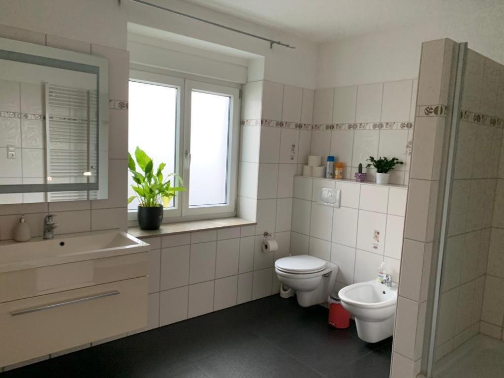 Guenstige Zimmer-Unterkunft Zimmer Mit Gemeinschaftsbad Lörrach Eksteriør bilde
