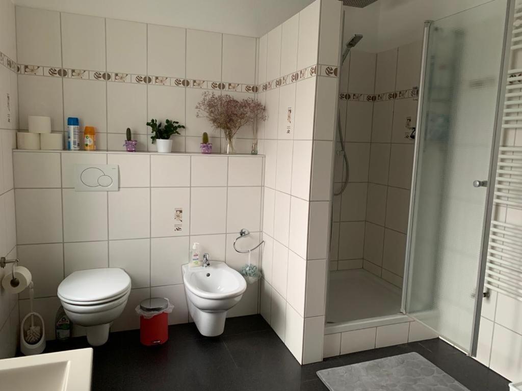 Guenstige Zimmer-Unterkunft Zimmer Mit Gemeinschaftsbad Lörrach Eksteriør bilde
